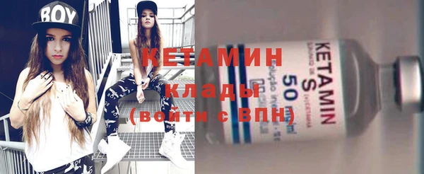 крисы Инта