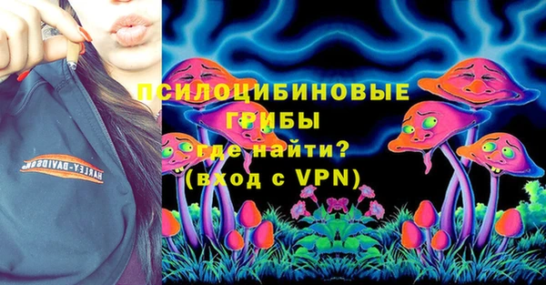 крисы Инта