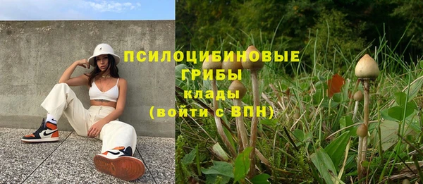 крисы Инта