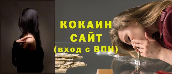 крисы Инта