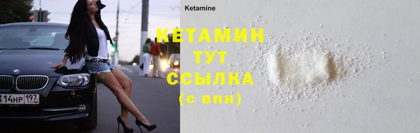 крисы Инта