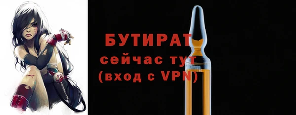 крисы Инта