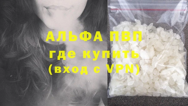 крисы Инта