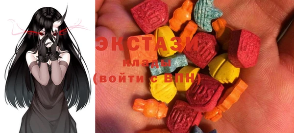 крисы Инта