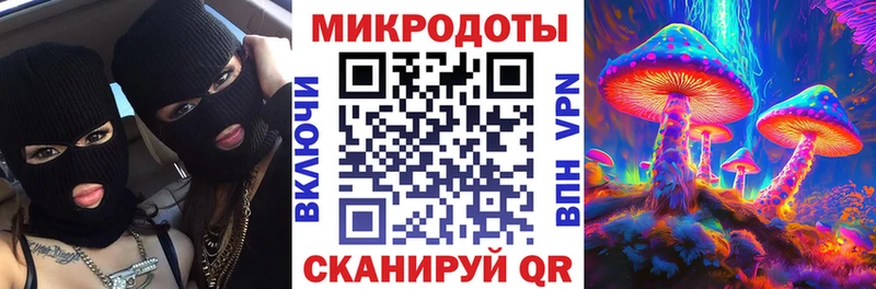 Галлюциногенные грибы Psilocybe  Купить закладки  Аркадак 